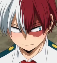 Shoto Todoroki -MHA