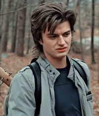 Steve harrington 