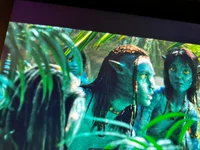 Loak-Kiri-spider-tuk