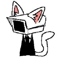 Little Cat Cameraman