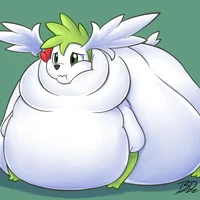 Shaymin gorda
