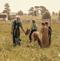 Amish farm-life sim