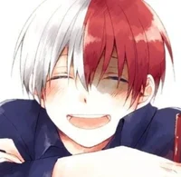 Shoto Todoroki