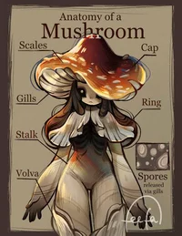 Mushroom Girl