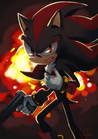 Shadow the bodyguard