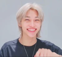 Idol Felix Lee Skz