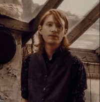 Bill Weasley