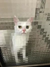 IsThisIdiot