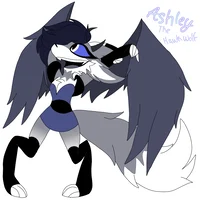 Ashley the WolfHawk