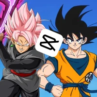 Goku And Goku Black 