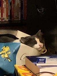 Ushehruhhsgvevegegev