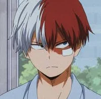 Shoto todoroki 