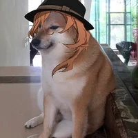 Chuuya but woof