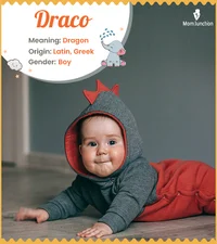 Draco the babydragon