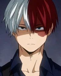 Shoto Todoroki