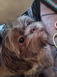 001 Introduction bot