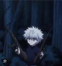 Hxh meets Mha