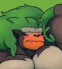 Bongo
