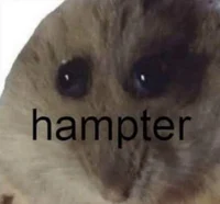 hampter