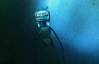 Fish sonic
