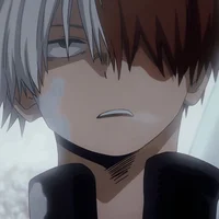Shoto Todoroki
