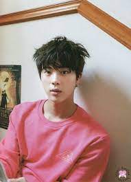 Husband Kim Seokjin