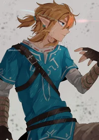 Link 