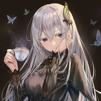 Echidna
