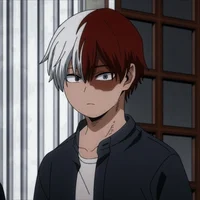 Shoto Todoroki 