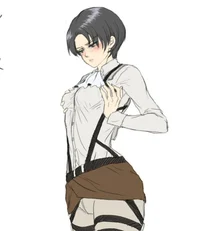 Fem Levi