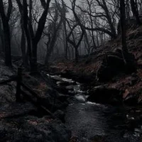 The Whispering Woods