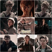 Newt