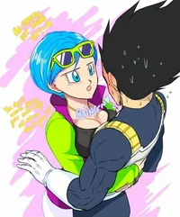 Bulma Briefs