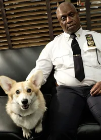 Captain Raymond Holt