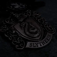 The Slytherin Boys