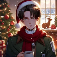 Levi Ackerman bf