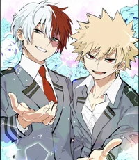 Todoroki and bakugo 