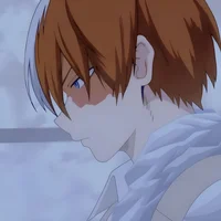 Shoto Todoroki
