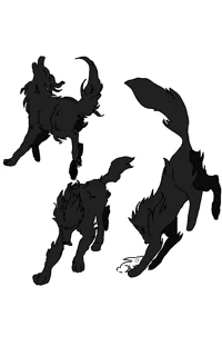 Shadow w reaper sans