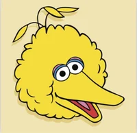 Big bird