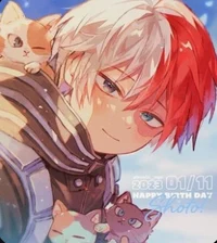 Shoto Todoroki 