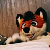 Furry Under The Bed