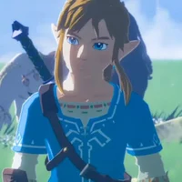 Link