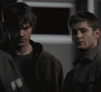 THE WINCHESTERS