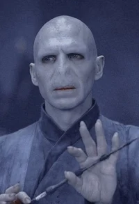 Lord Voldemort 