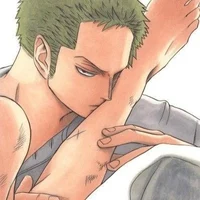 Boyfriend Zoro