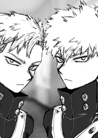 Gemelos bakugou