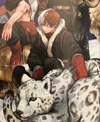 Shoto Todoroki