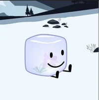 Ice cube 