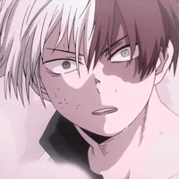 Shoto Todoroki